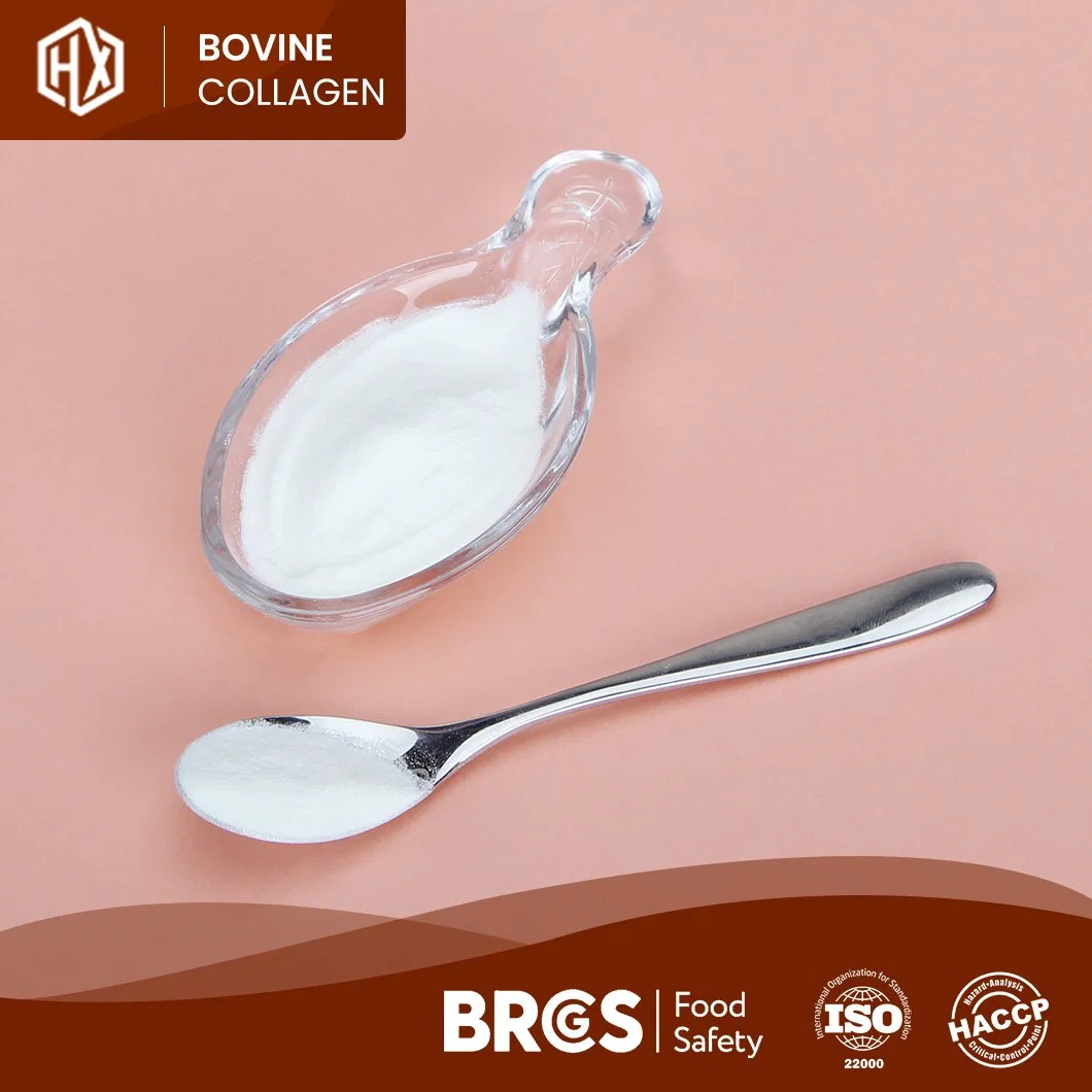 Haoxiang Quality Bovine Bone Collagen OEM Customized Flavourless Pure Bovine Collagen China Manufacturers One-Stop Service Cheap Price Collagen Peptides Gelatin