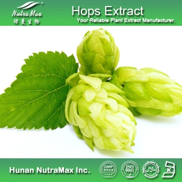 100% Nutural Hops Extract Extract (5% Flavonoids, 5% Xanthohumol)