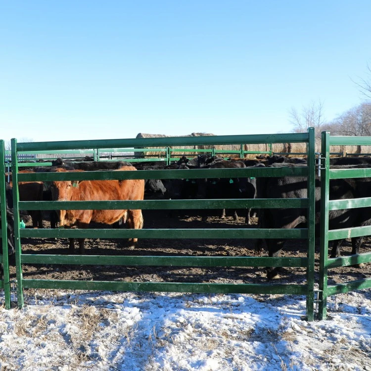 Garden Fence Livestock Equipment Farm Gate Cattle Horse Fence Panel Sheep Fence