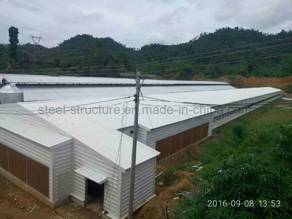 Prefabricated Customized Light Steel Structure Buidling Poultry Chicken Coop Shed