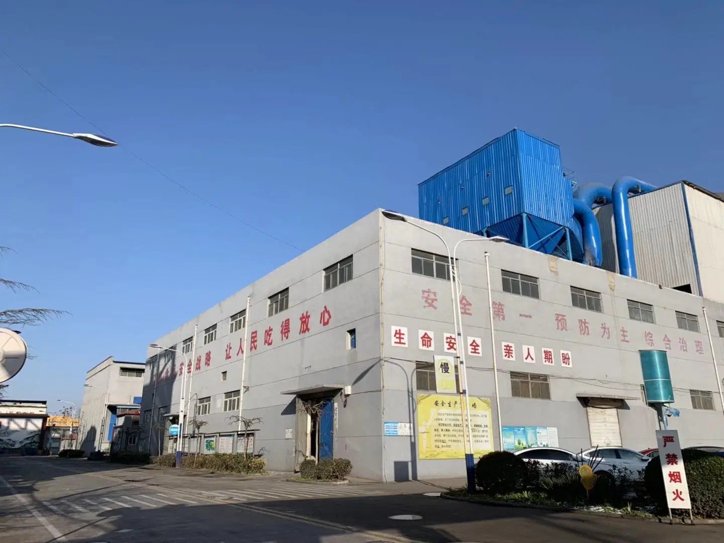 Usine chinoise fabriquant du gluten de blé vital de haute qualité.