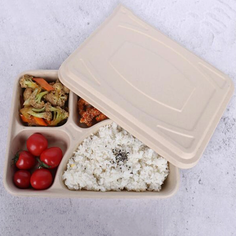 Disposable Biodegradable 3 4 5 Compartment Takeout Bento Meal Lunch Food Container Packaging Sugarcane Bagasse Box with Lid