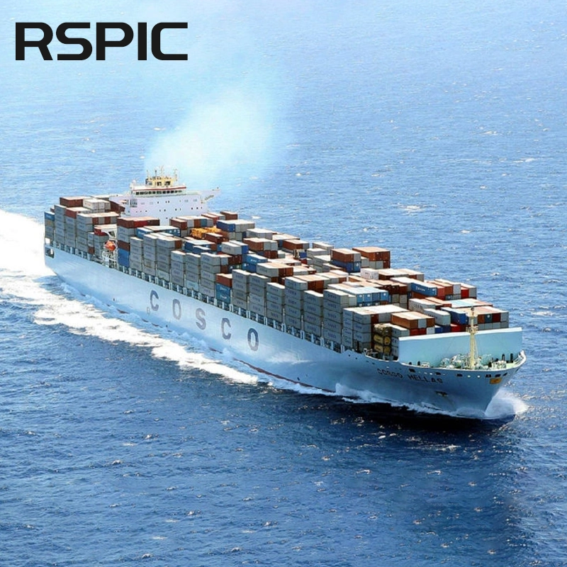 DDP Form China to Saudi Arabia Door to Door Shipping Sea Freight