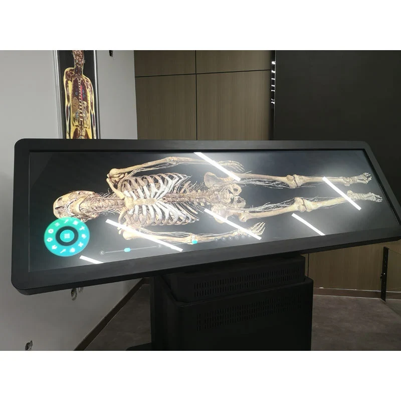 Prix bon marché Anatomage l'éducation pour l'École de médecine de l'anatomie du corps en 3D Tableau d'autopsie virtuelle