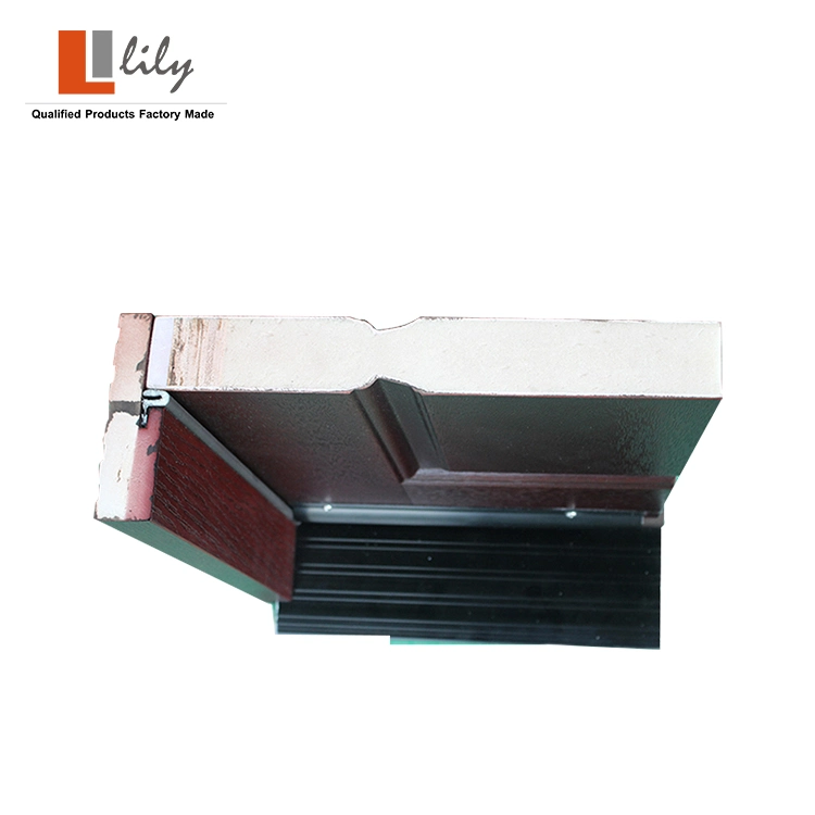 Professional Factory Waterproof Eco-Friendly Wooden Plastic Panel Modern Design Exterior FRP Door