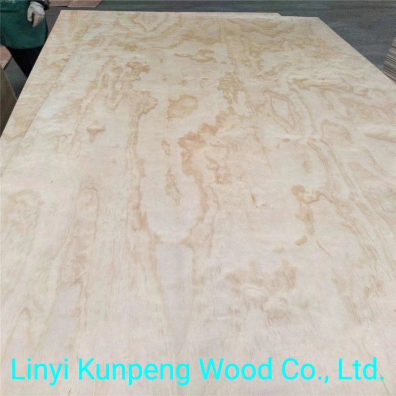 CD Grade Pine Plywood with Poplar Core