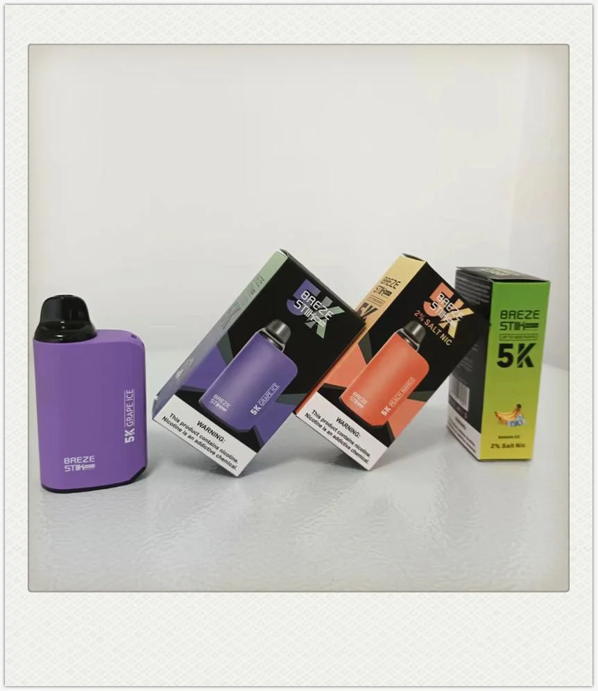 2023 Hot Selling 2%&5% Nicotine Salt Popular Box Design Disposable/Chargeable Vape 12ml 5000 Puffs Breze Stiik Box PRO