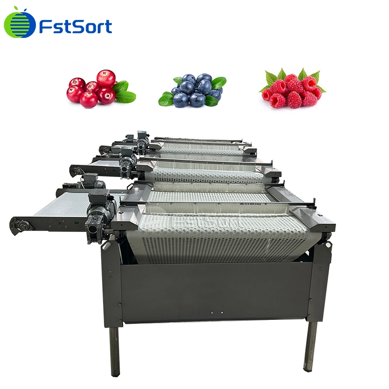 3+1 Grade Blueberry Sorting Machine, Blueberry Grading Machine, Raspberry Sorting Machine