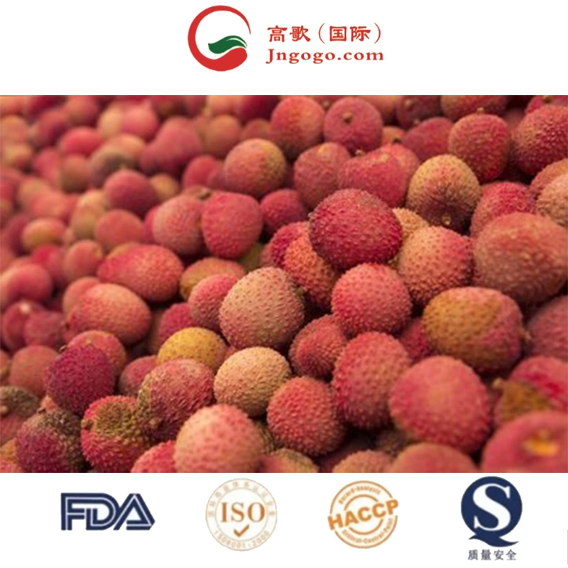 Chinese Fresh Litchi Lychee Fruit for Export