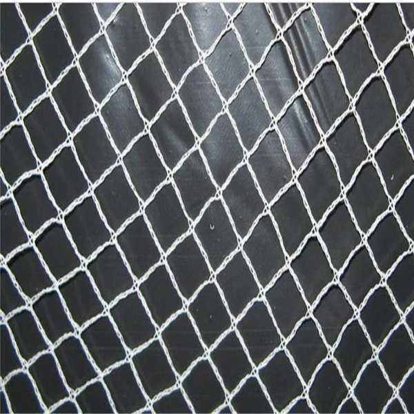 100% HDPE Agricultural Anti Bird Netting for Greenhouse