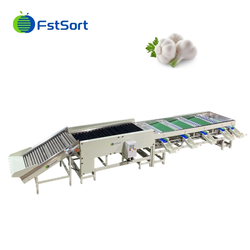 Ajo empaquetadora de gran capacidad de ordenación/Clasificación de Ajo Ajo Máquina/Tamaño de la máquina de limpieza