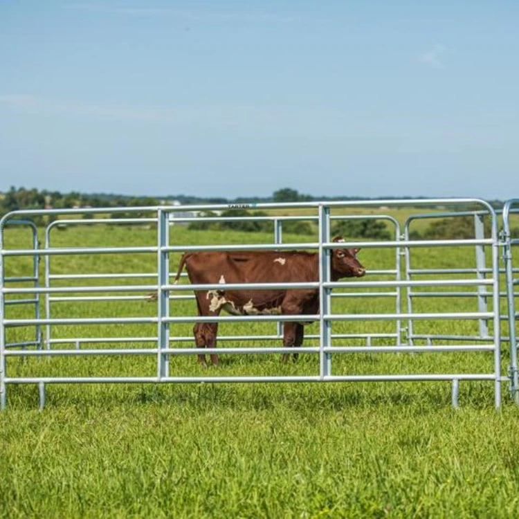 Australia Cattle Farm Equipment Rails Fence Livestock Panels