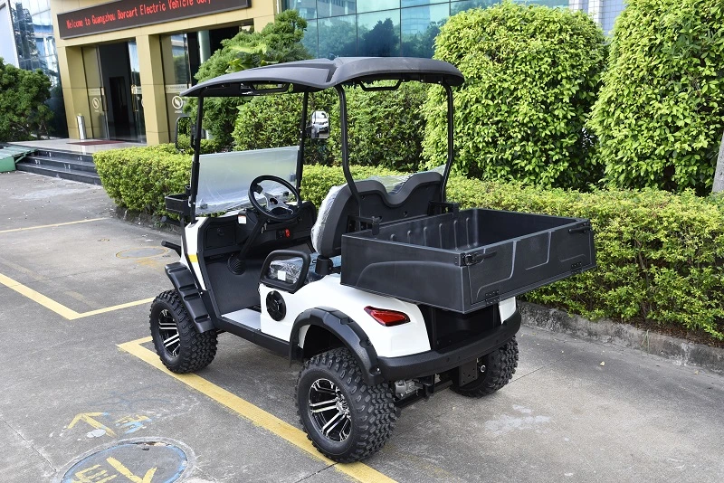 CE Certificated 2 Seater Electric Utility Vehicle with Cargo Box