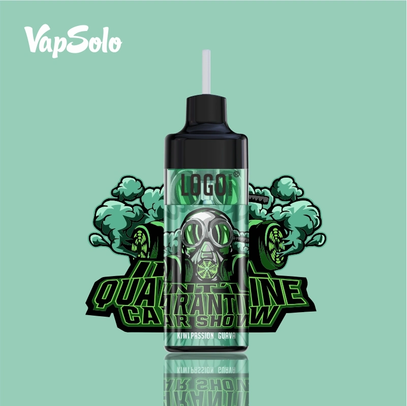 Vapsolo Tornado 10000 Puff Wholesale/Supplier Disposable/Chargeable Vape 2%5% with RGB Lights and Airflow Control Randm Elf Vape