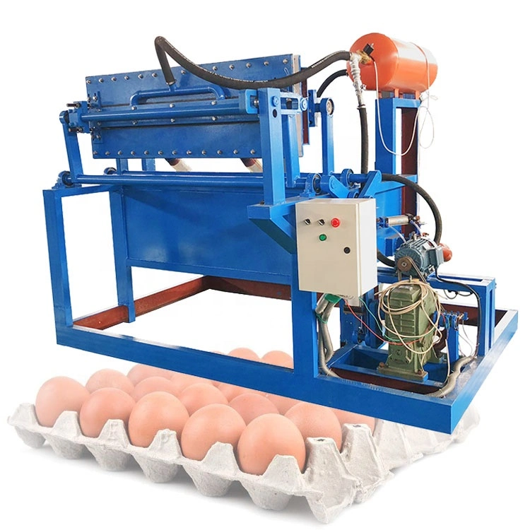 Low Investment Waste Paper Pulp Moulding Plant Small Egg Tray Making Machine for Sale