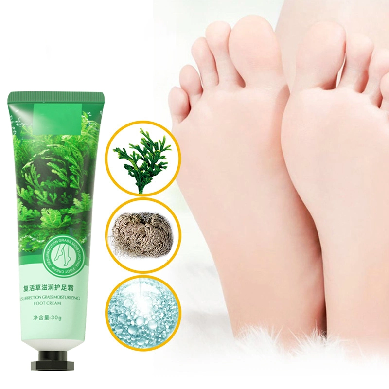 OEM Moisturizing Custom Moisture Private Label Organic Urea Foot Cream for Cracked Heels