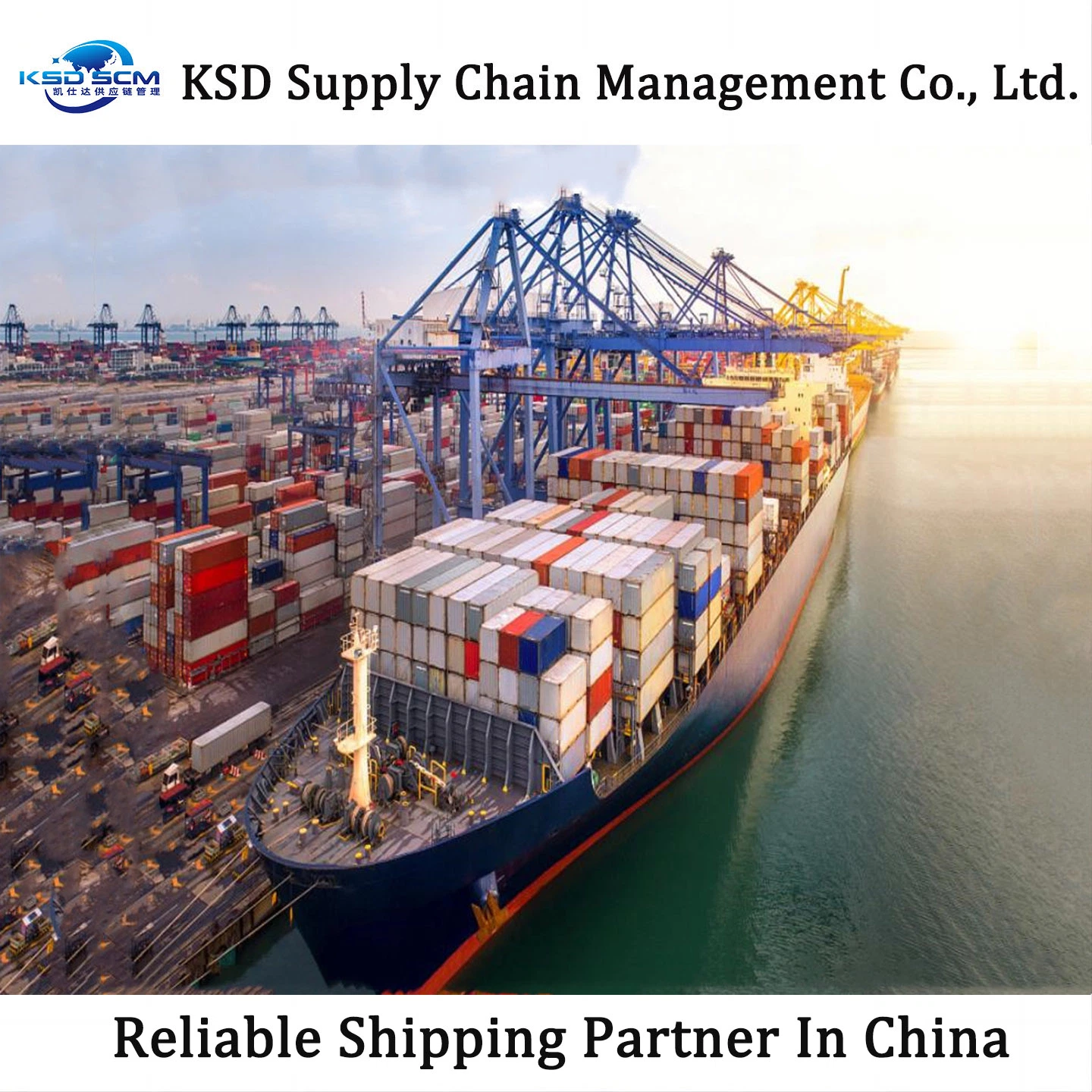 Super-Large Size Product Port to Port Shipping Services From China to Indian with Ocean Freight