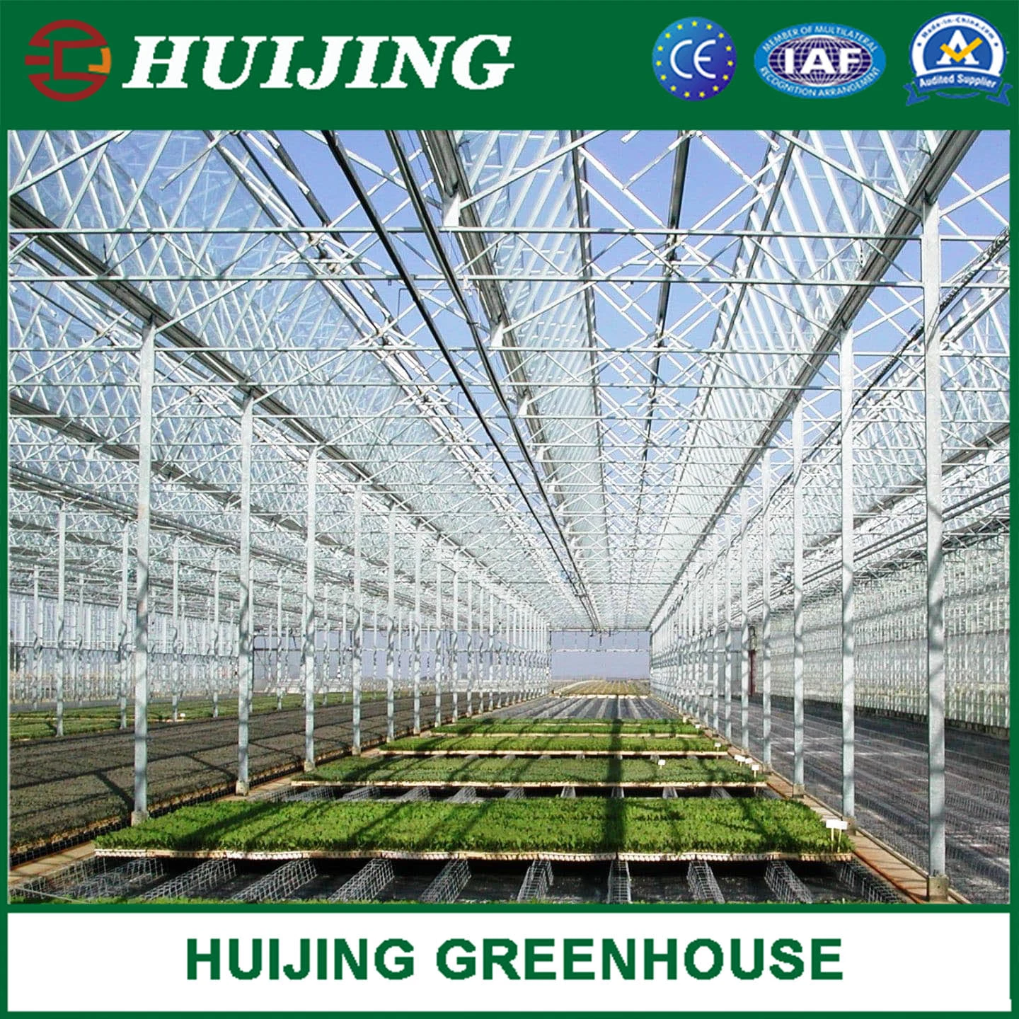 Hot Sale Agricultural Polycarbonate Greenhouse for Hydroponics/Nursery