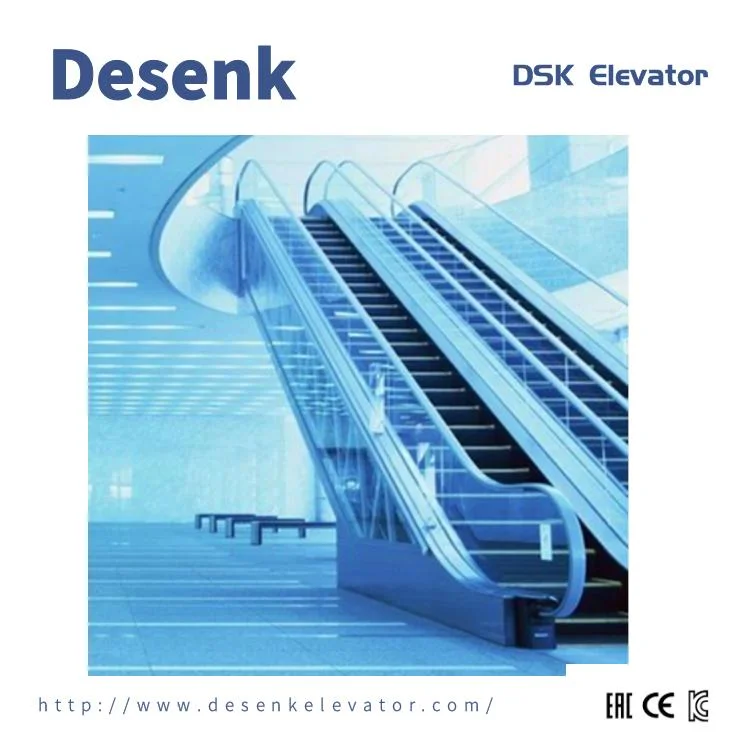 Desenk China Electric Escalator Outdoor Cost Escalators for Sale