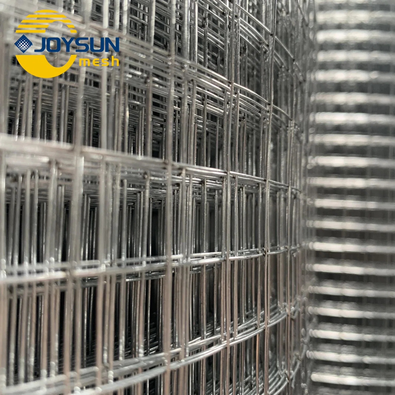 Stainless Steel PVC Coated Hot Dipped Wholesale/Supplier Manufacturer Stainless Steel Welded Wire Mesh