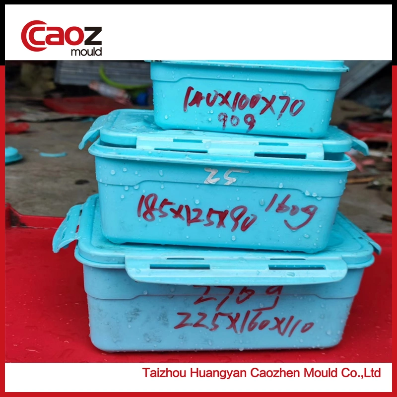 Used/Second Hand Plastic Food Container/Lock Lock Container Injection Mould