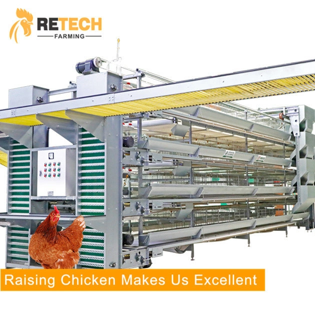 Hot selling low price automatic chicken layer cage with feeding system