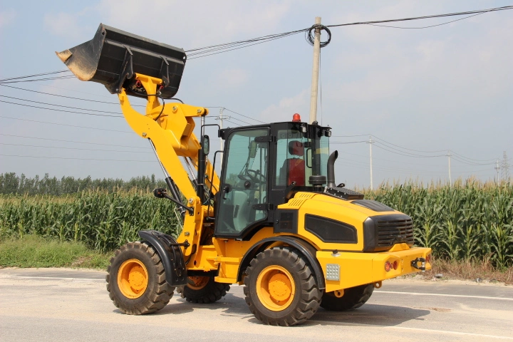 Lgcm Factory Used Suger Cane Loader with Multifunctional Accessories