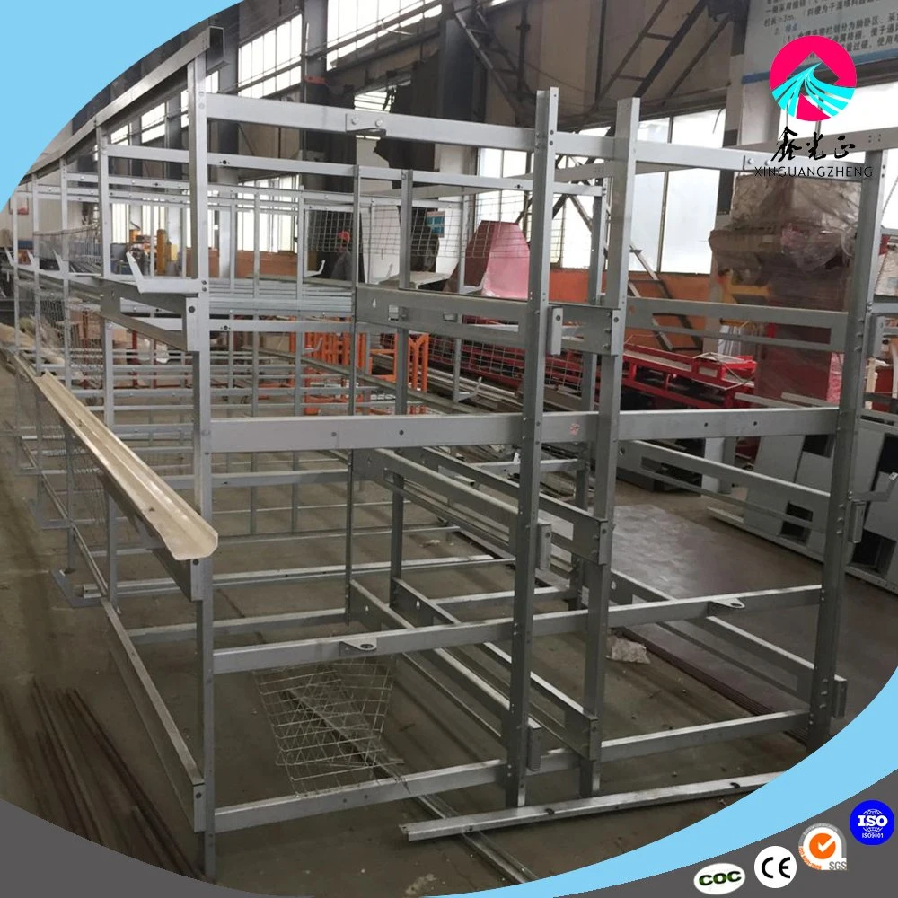 Automatic Galvanized Relible Broiler Cage for Poultry House