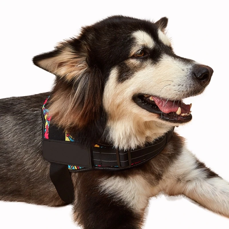 Dog Supply Manufacturer Customization Luxury Pet Harness