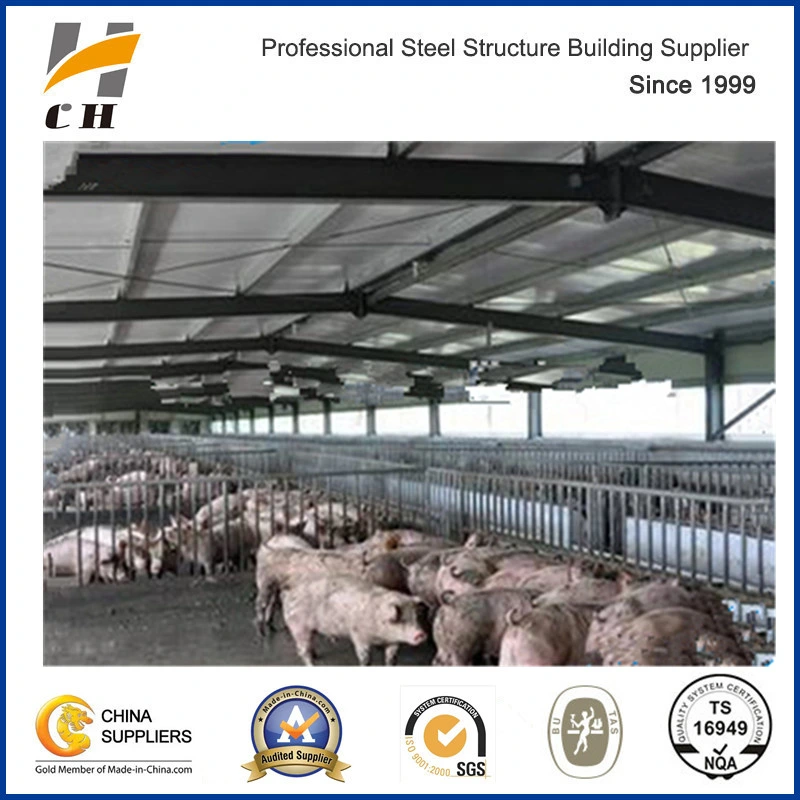 Steel Structure Prefab Pig House and Equipment System