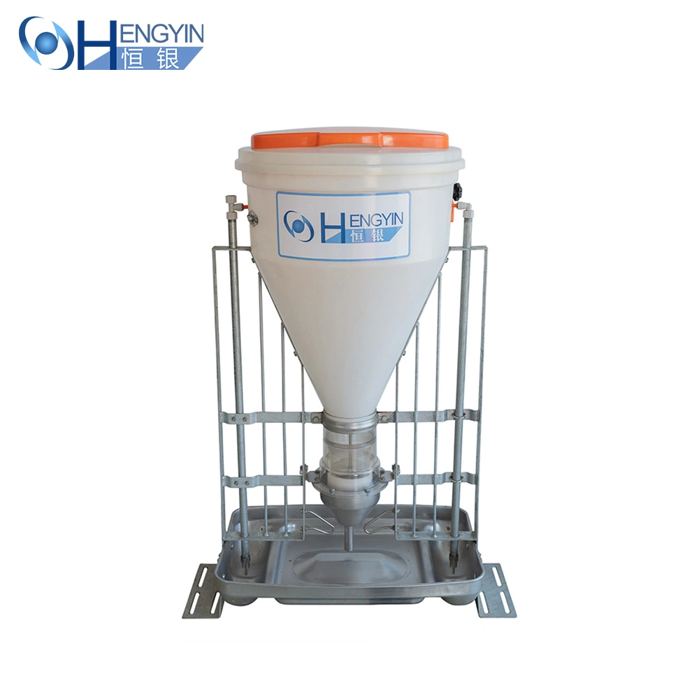 Animal Feeders Automatic Pig Farming Equipment Home Use Automatic Pig Farm