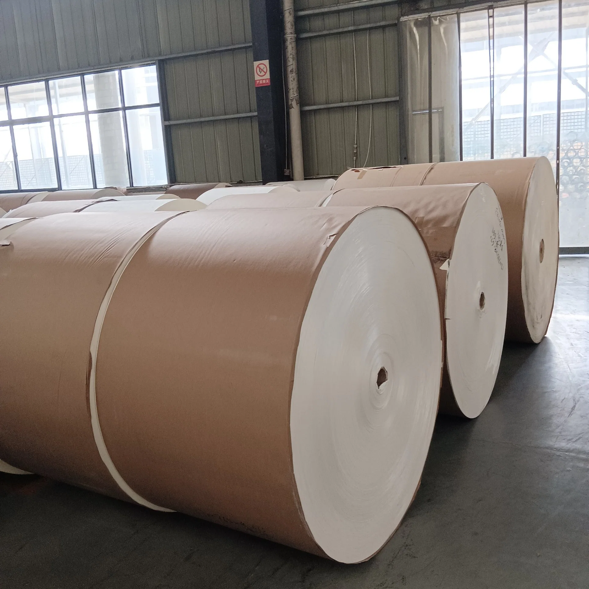 Wholesale/Suppliers Paper Cups Raw Material 150GSM-380GSM Single/Double PE Coated Paper Roll