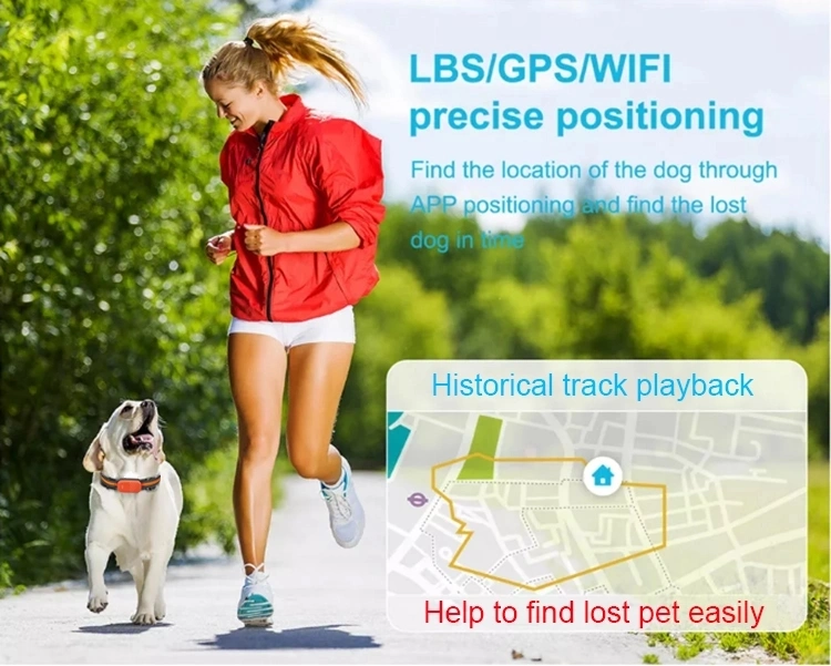 GPS Tracking Device