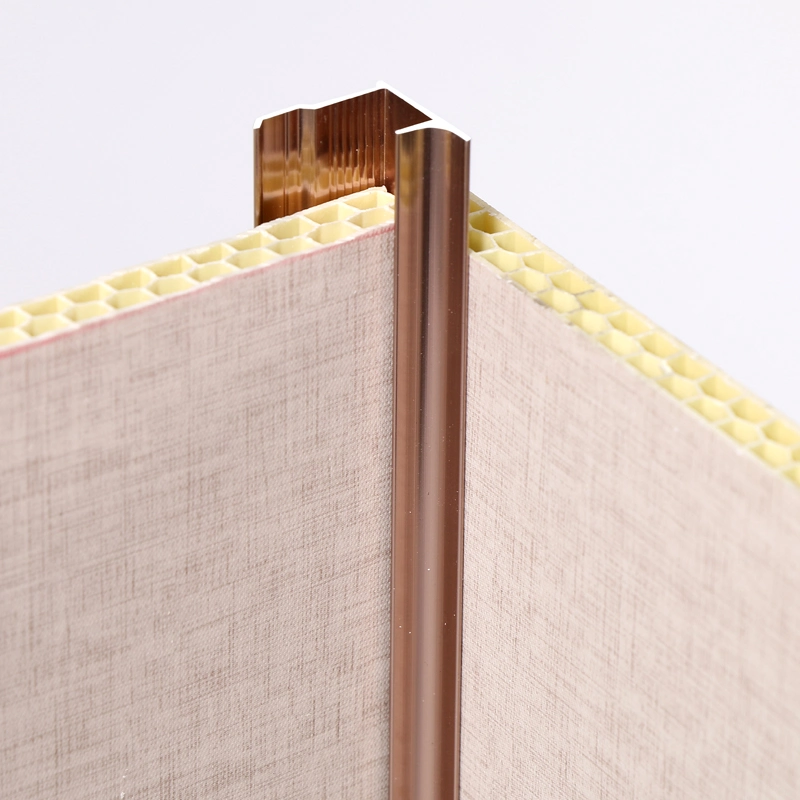 Aluminum Profile Wall Panel Connection Trim Line Wallwaist Trim Line