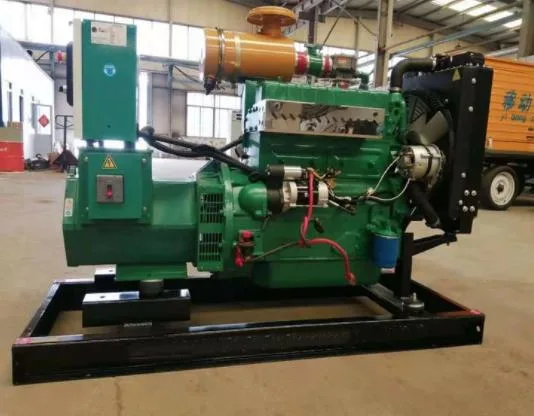 30kVA/33kw Small Gas Generator Chicken Farm Manure Pile Biogas Generator Low Noise and Low Cost