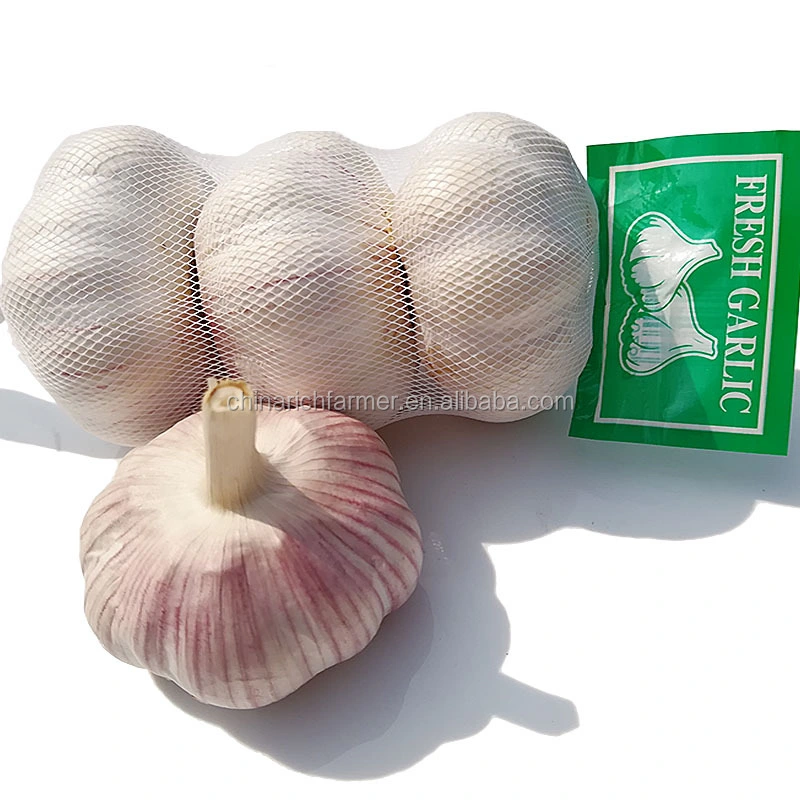 Cheapest China Fresh 3p Pure Normal White Dried Garlic