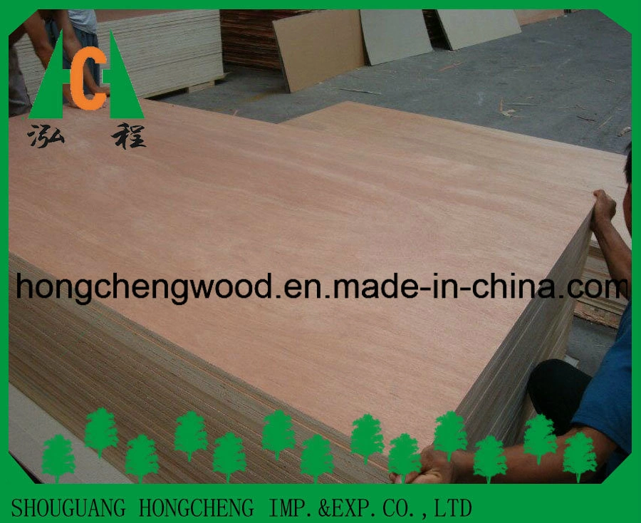 Poplar Core for High Grade Commercial Plywood Okoume/Bintangor Faced