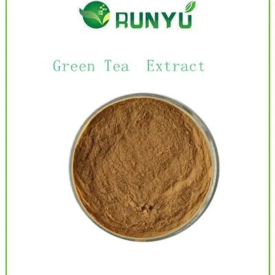 Hot Sell Product Green Tea Extract 98% Tea Polyphenols UV EGCG