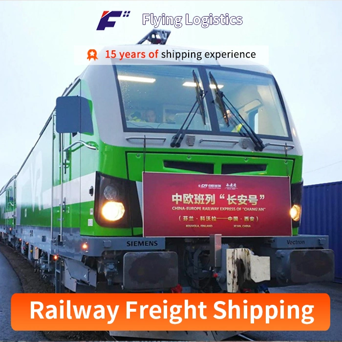 From China Sea Freight Forwarder to Yemen Shipping Agent Logistics Forwarder Service