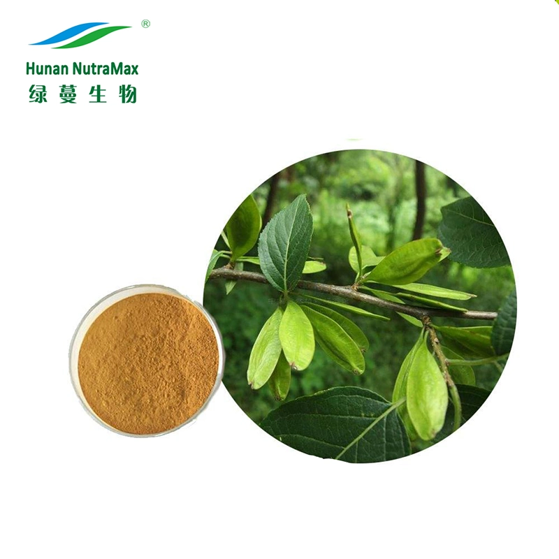 Natural Eucommia Ulmoides Bark Extract 10%~98% Chlorogenic Acid Plant Extract