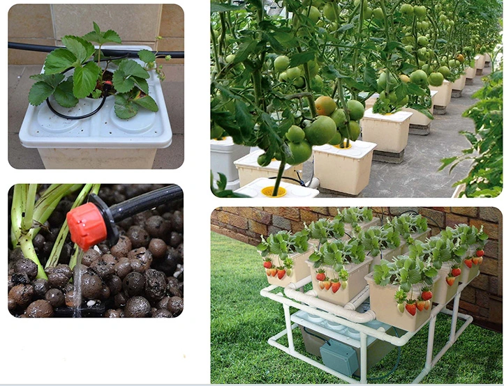 Wholesale/Supplier Hydroponic Growing Systems Plant Dutch Bucket for Greenhouse Tomato Grow