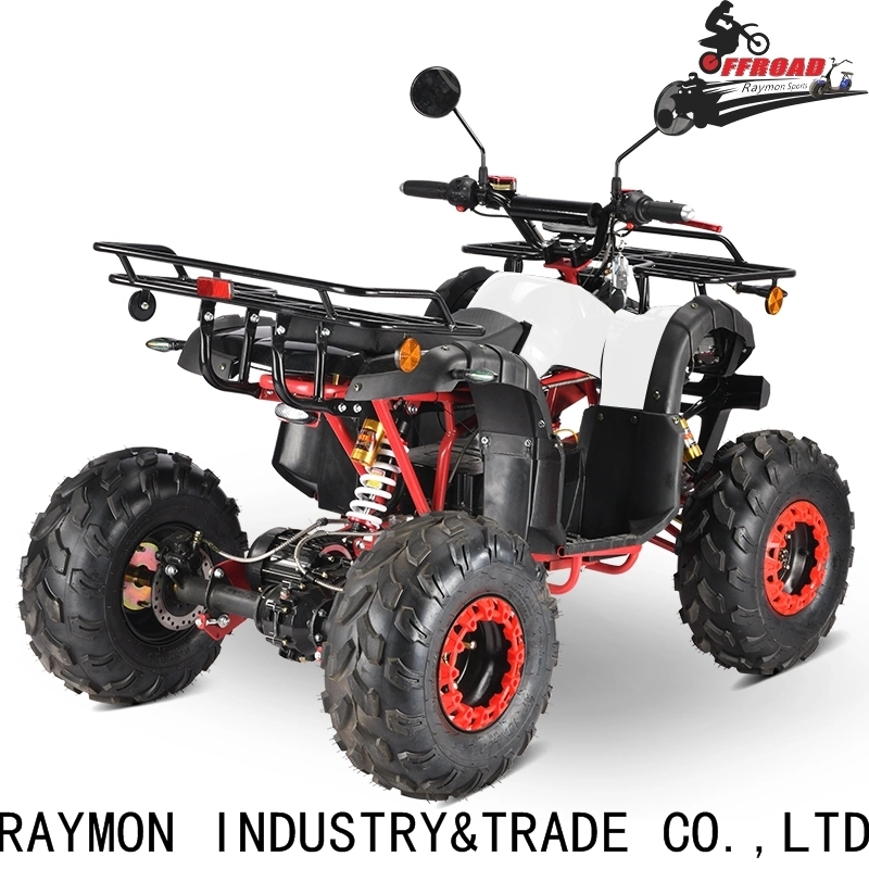 Street Legal CE 1000W 1500W ATV UTV Farm Buggy Hunting Vehicle