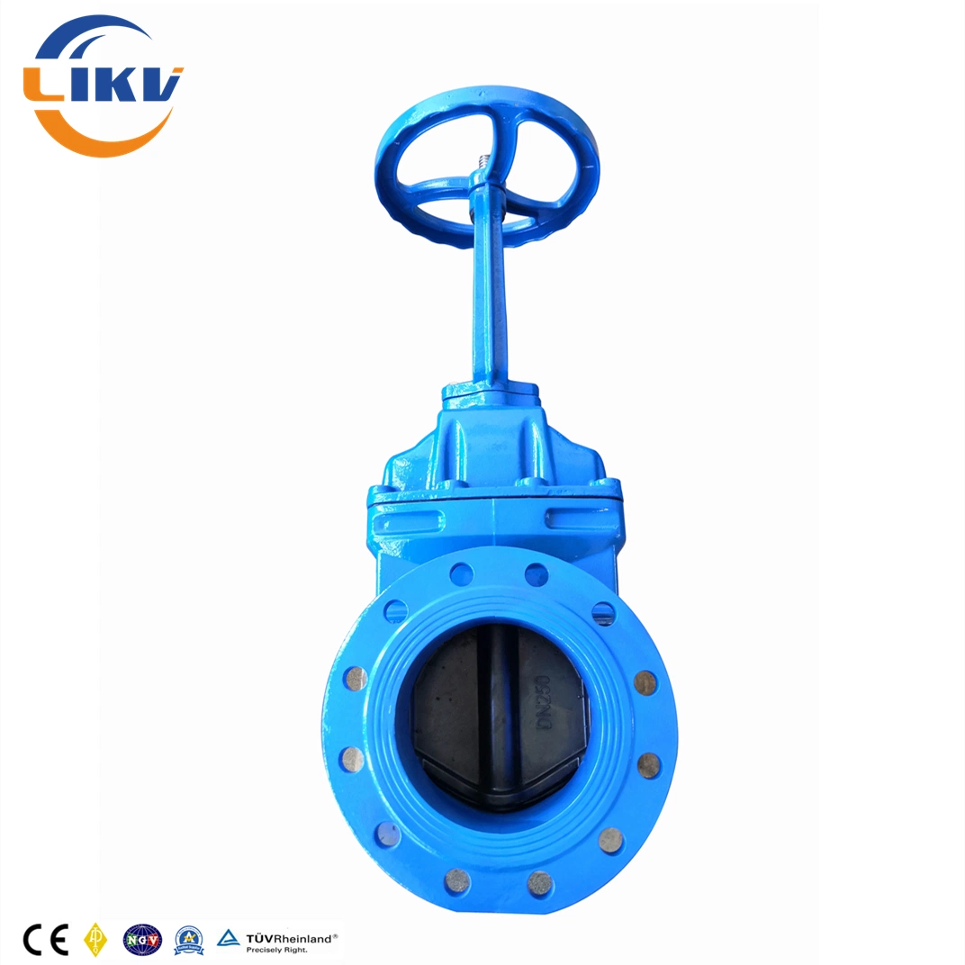 Soft Sealing Wedge Resilient Flange Stainless Steel Stem Osy Gate Valve