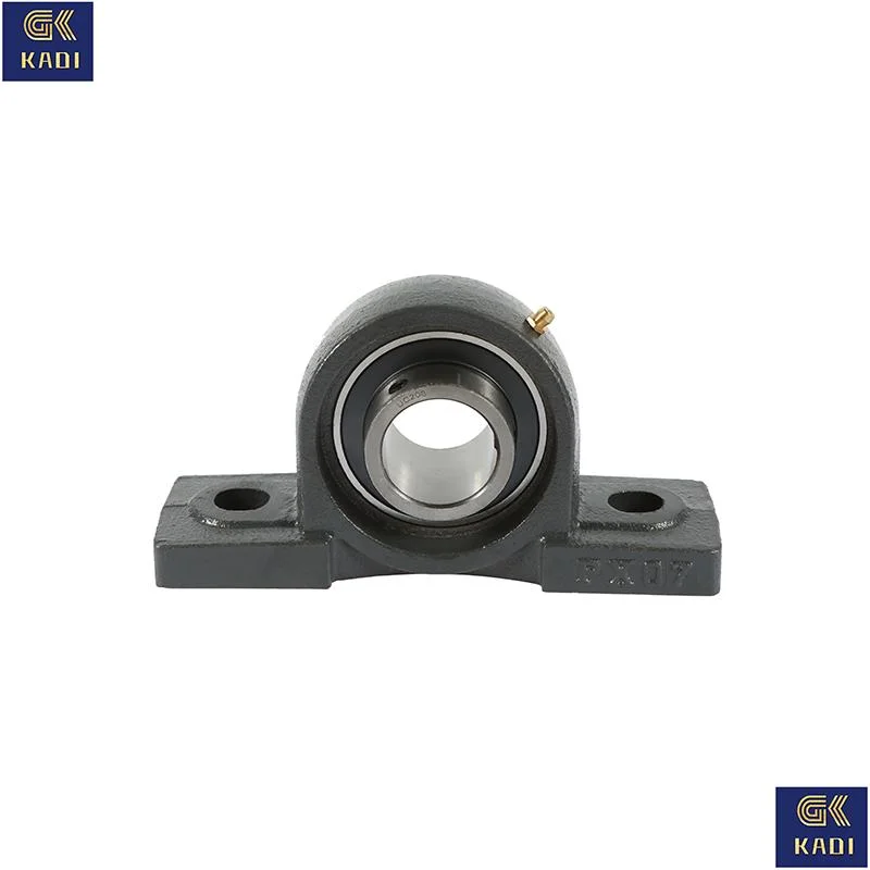 Ucpa213 Made in China Pillow Block Bearing with Housing Insert Bearing