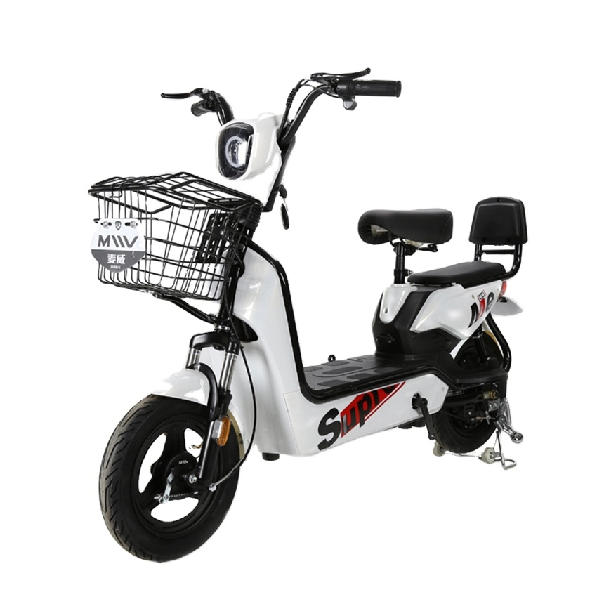 New Model 14 Inch Fat Tire E Bike 48V 350W Electric Bike Bicycle