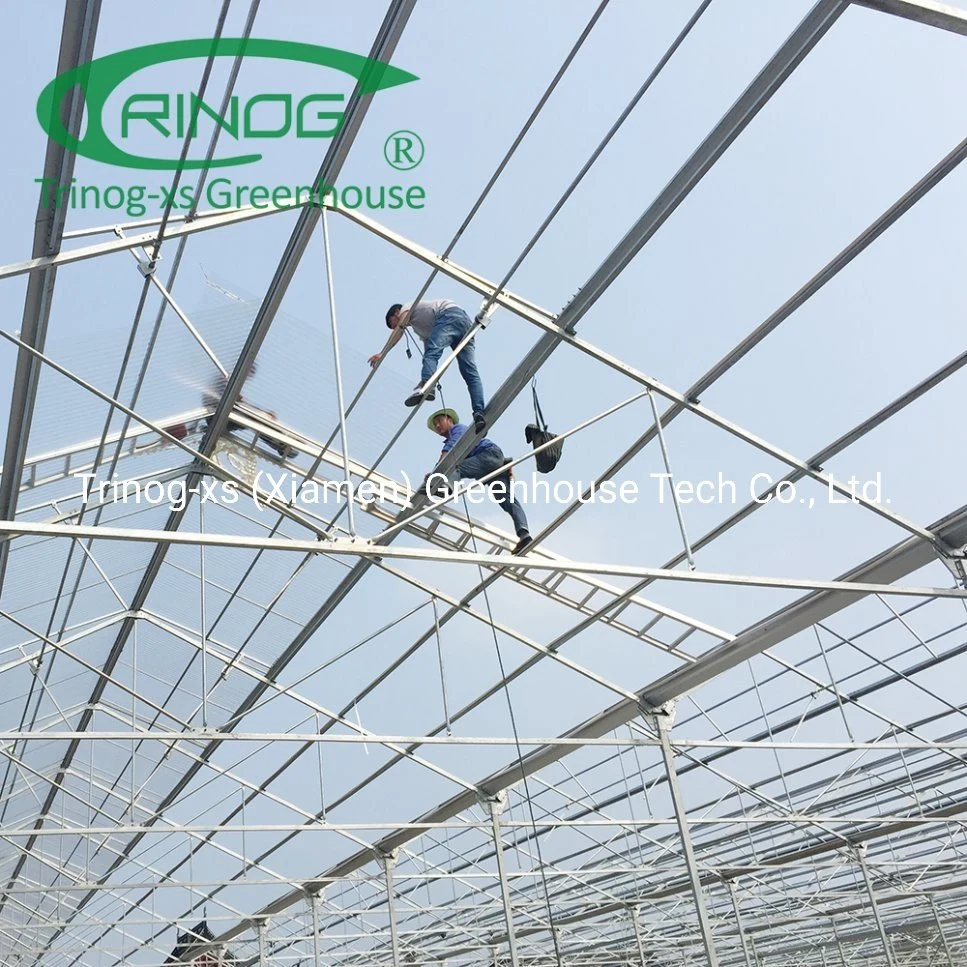 Single layer agriculture nursery Polycarbonate Greenhouse for Sale