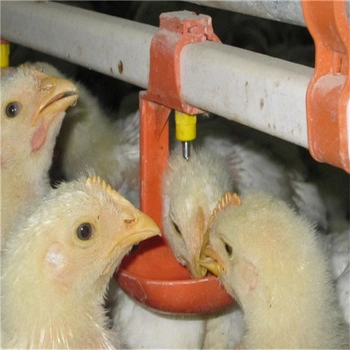 Low Price Small Scale Poultry Farming