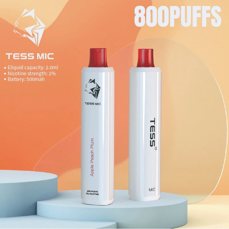 10 Flavors 800 Puffs Disposable/Chargeable Vape Mini Electronic Cigarette