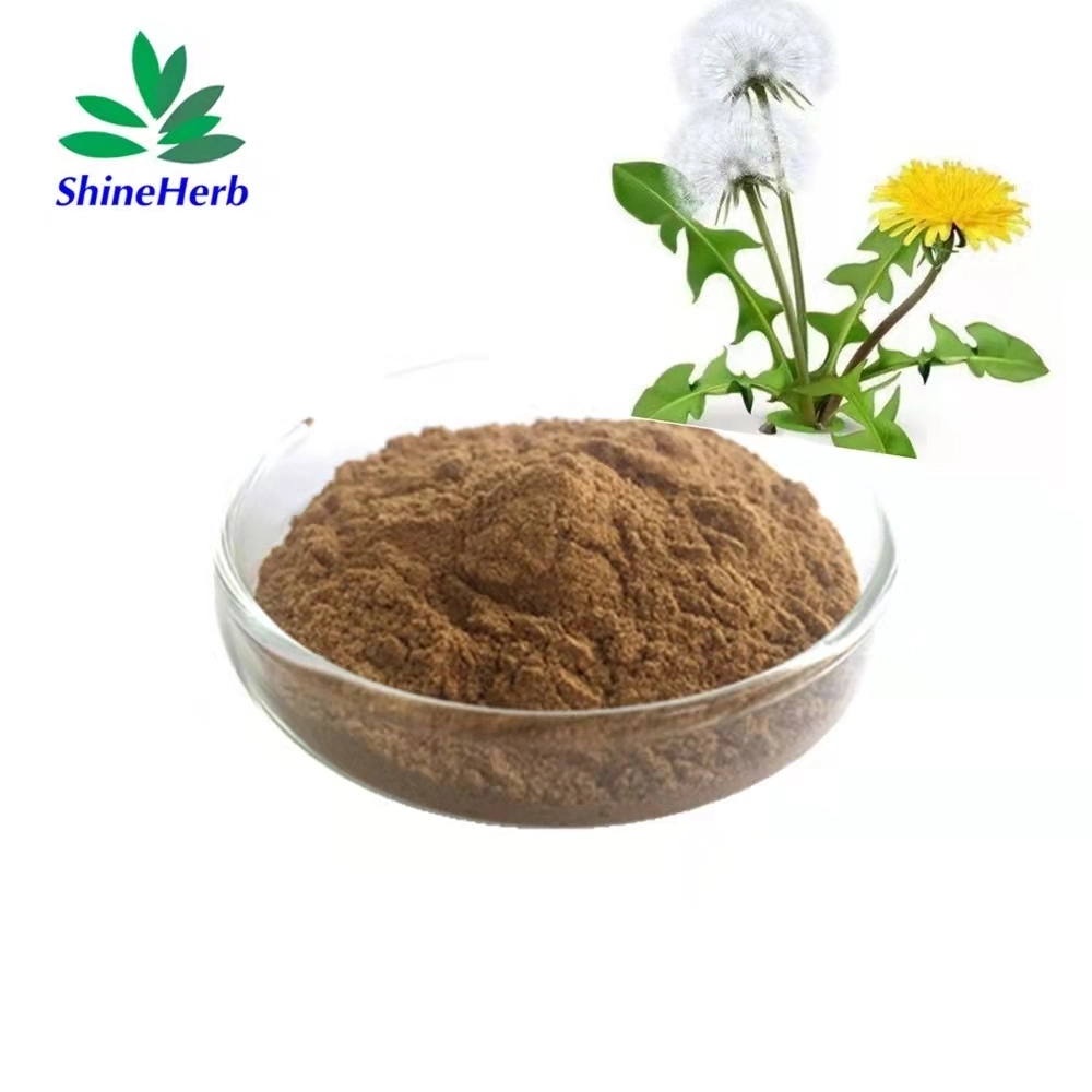 Dandelion Extract Flavones 5% Dandelion Extract Dandelion Root Extract