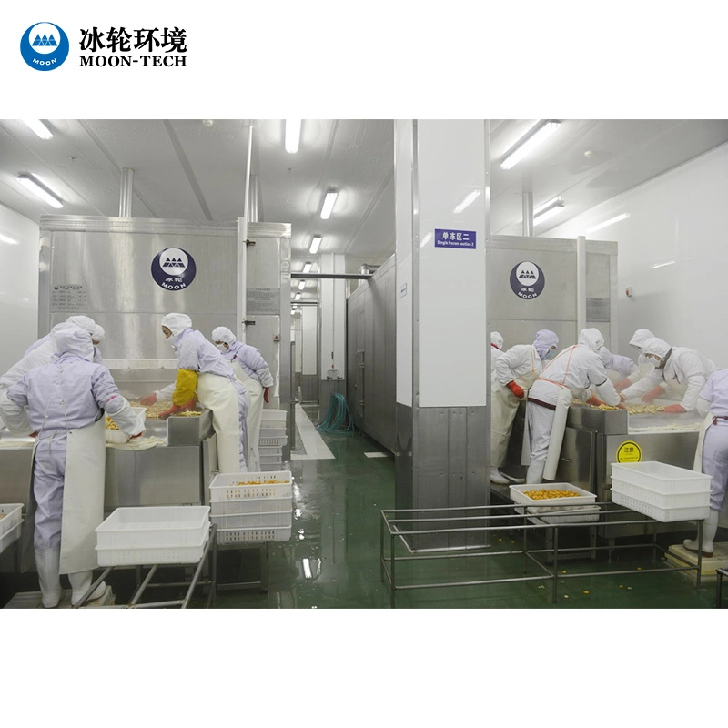 Factory Butchery Cold Room / Cold Room Equipment for Meat